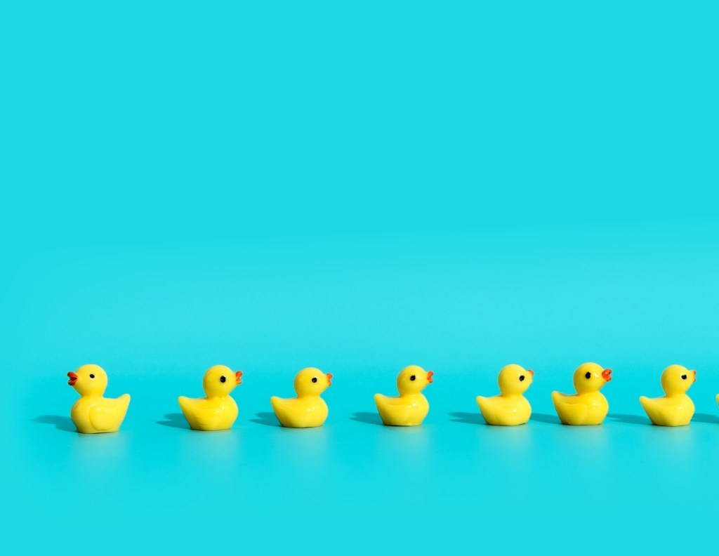 7 rubber ducks in a row