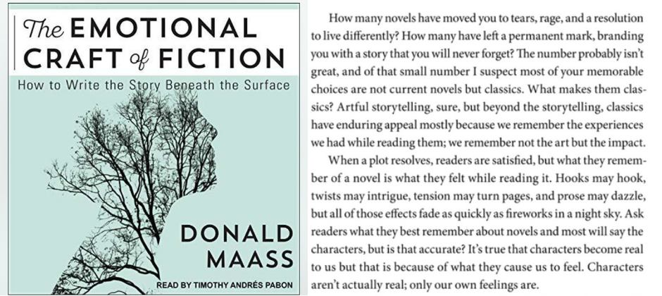 The Emotional Craft of Fiction book cover